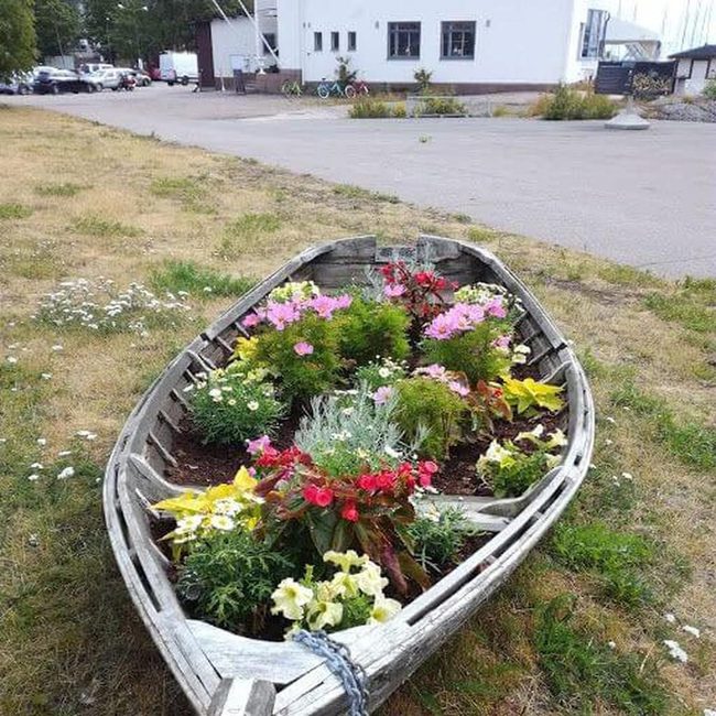 Weathered Boats Blooming Garden