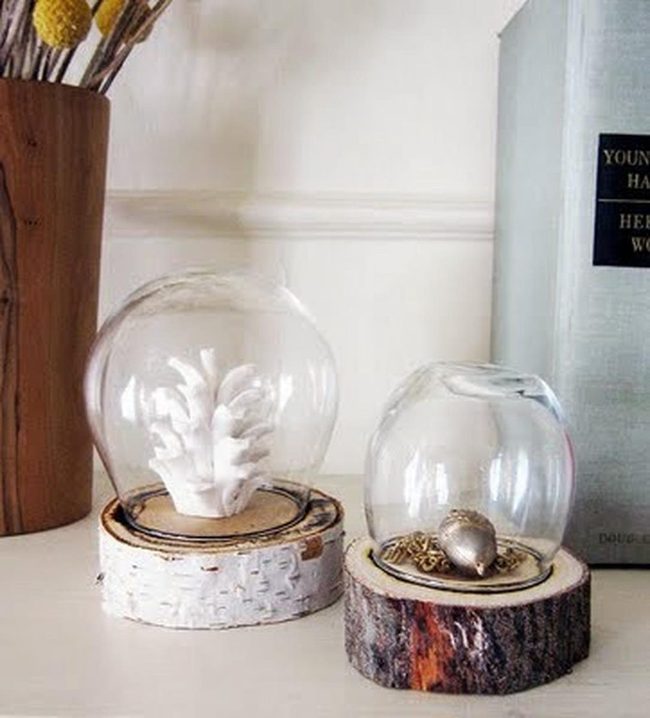 Glass Domes Display Treasured Objects
