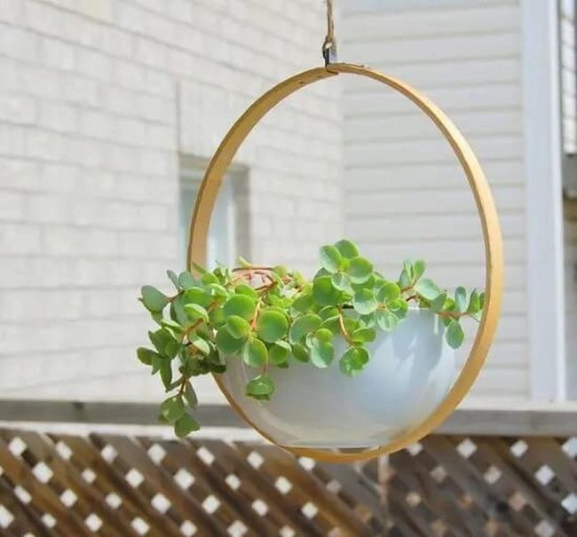 Cascading Circles Of Green