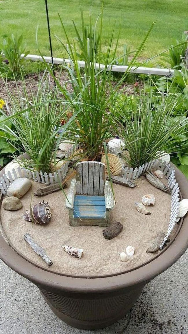 Coastal Shells With Living Green