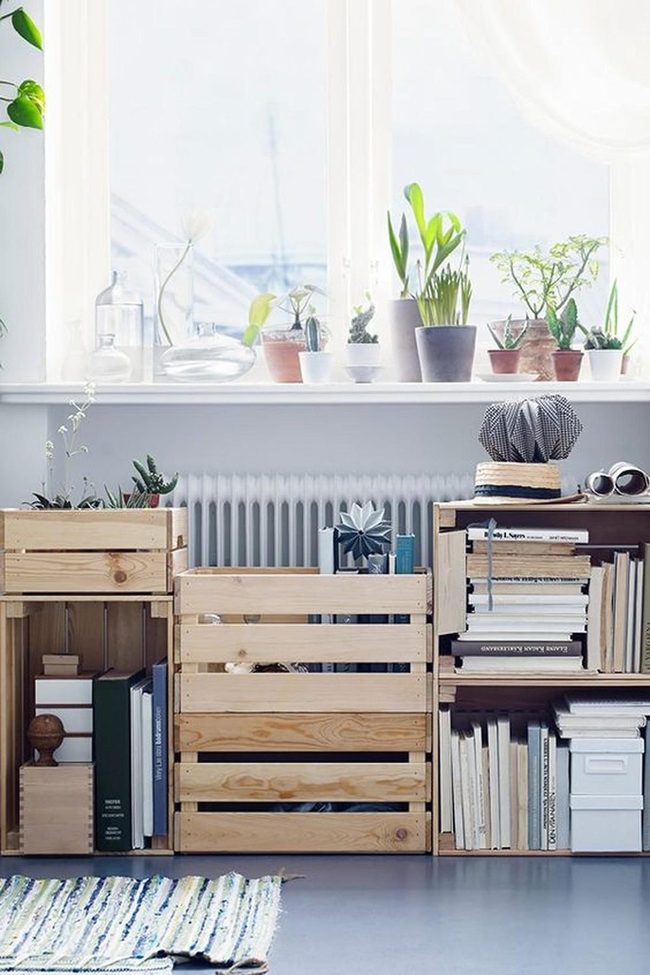 Sunlit Green Room With Wooden Storage