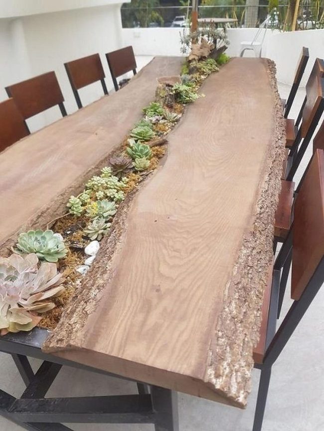 Live Edge Wood Tables With Succulents