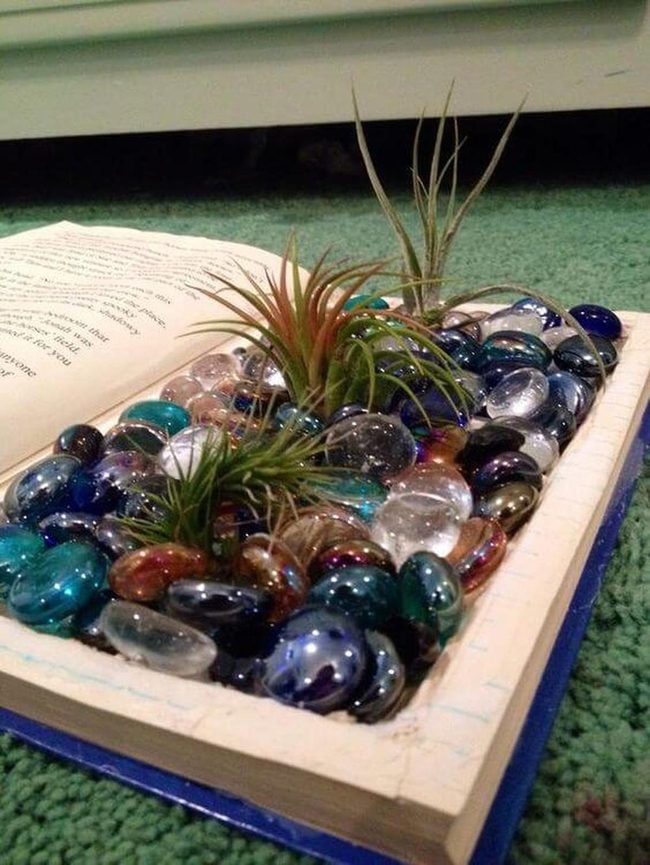 Hollowed Books With Gleaming Glass Stones