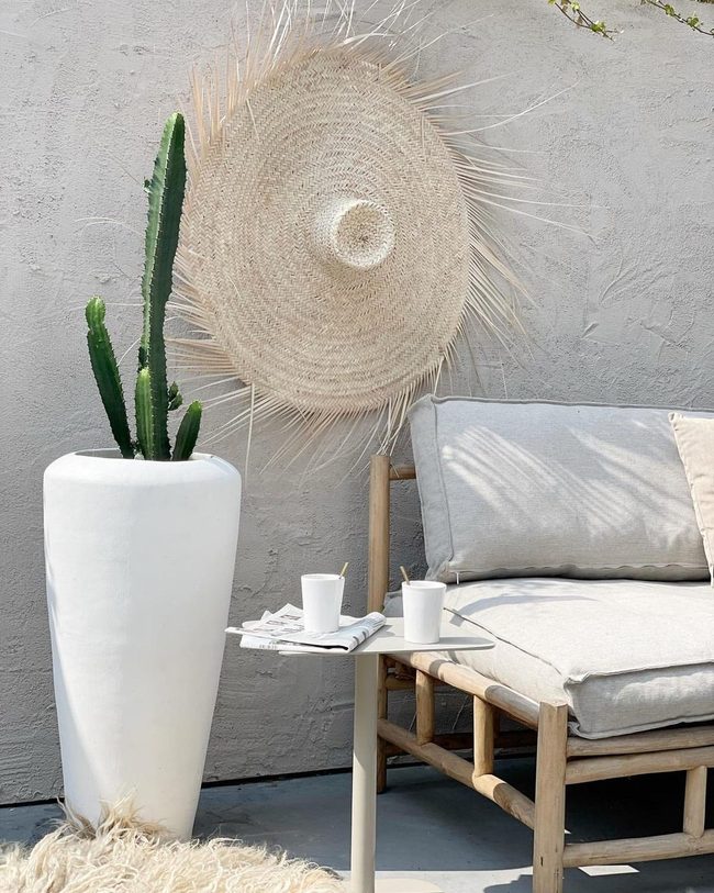White Planter Bold Cactus Focal