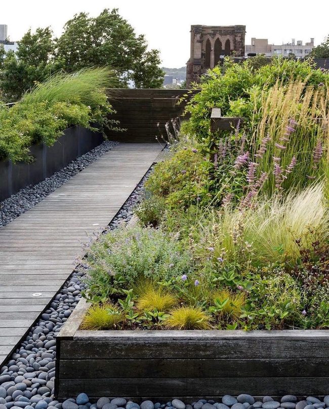 Green Pathway Through Layered Plants