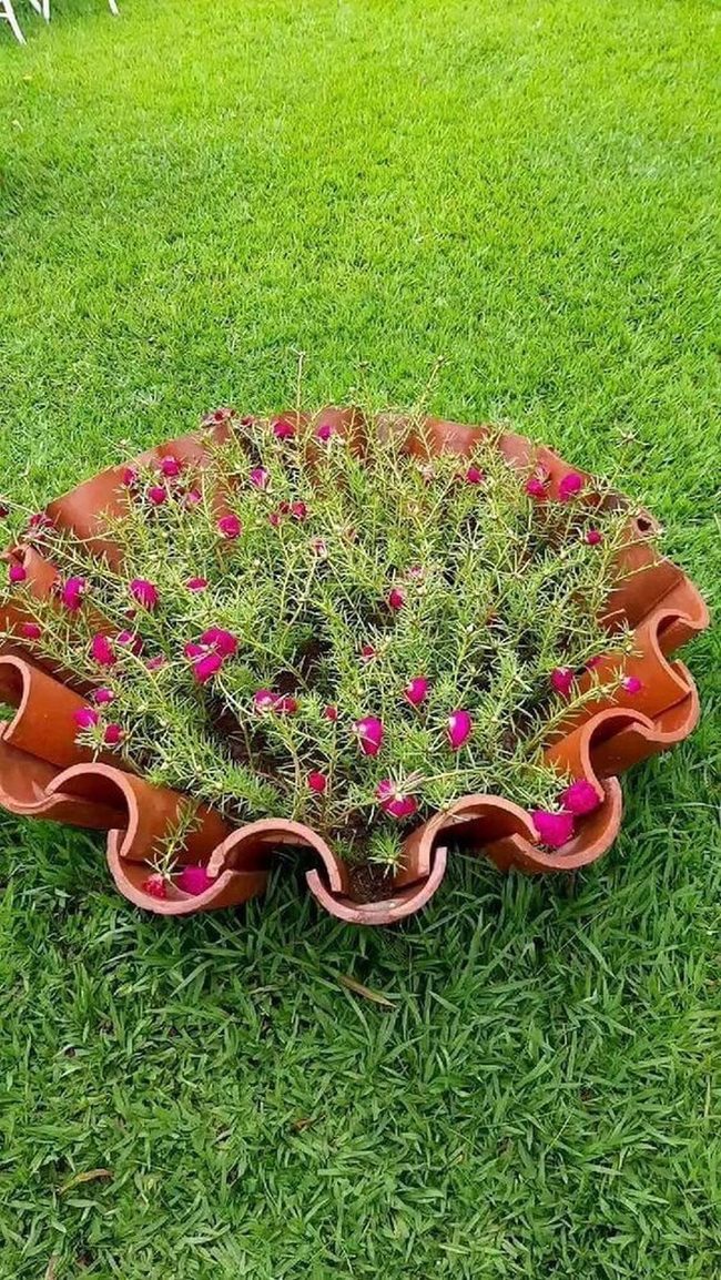 Terracotta Curves With Cascading Greens