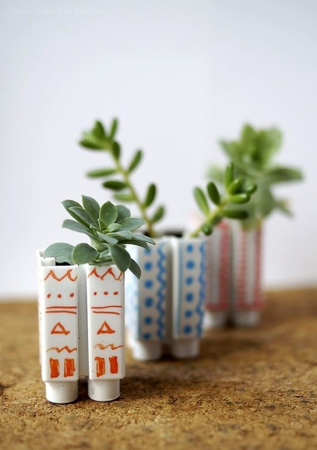 Colorful Block Succulent Homes