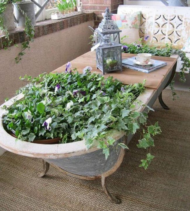 Vintage Bathtub Blooming Garden