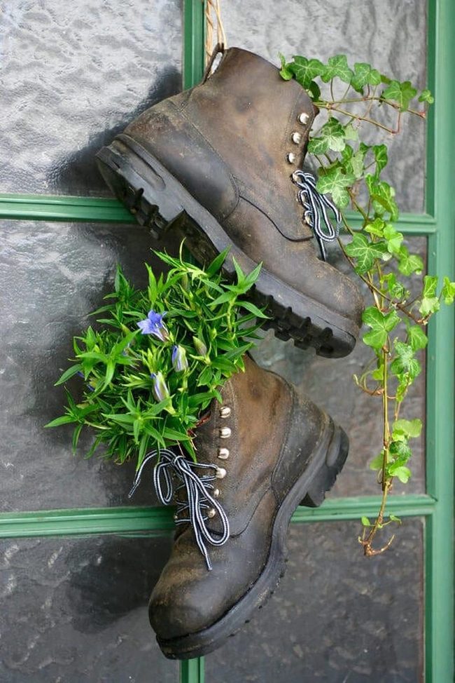Worn Boots Overflowing Colorful Flowers