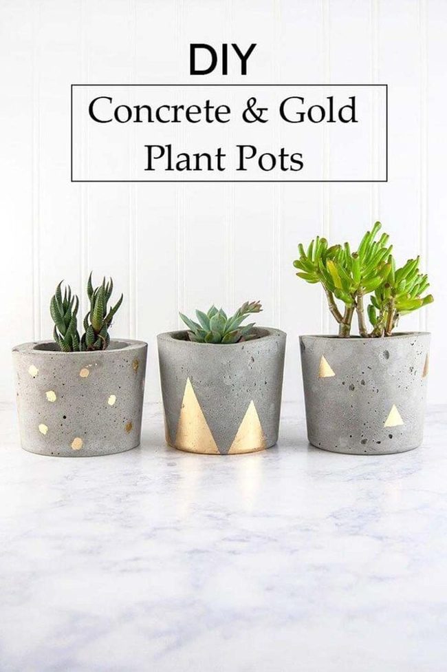 Concrete Planters You Can Make