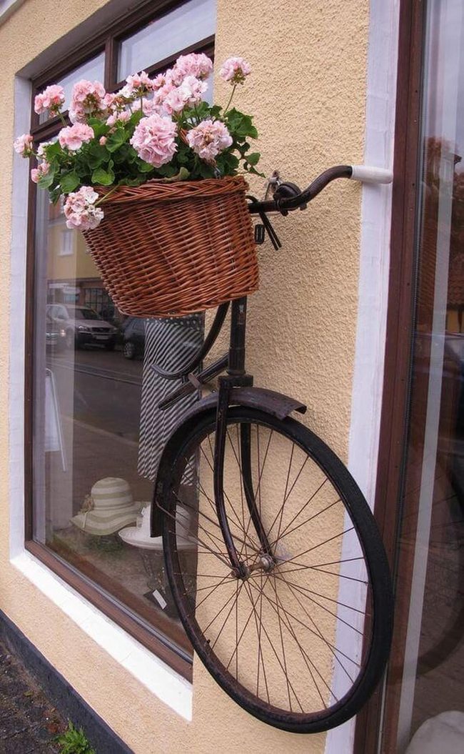 Vintage Bike Blooming Wall Garden