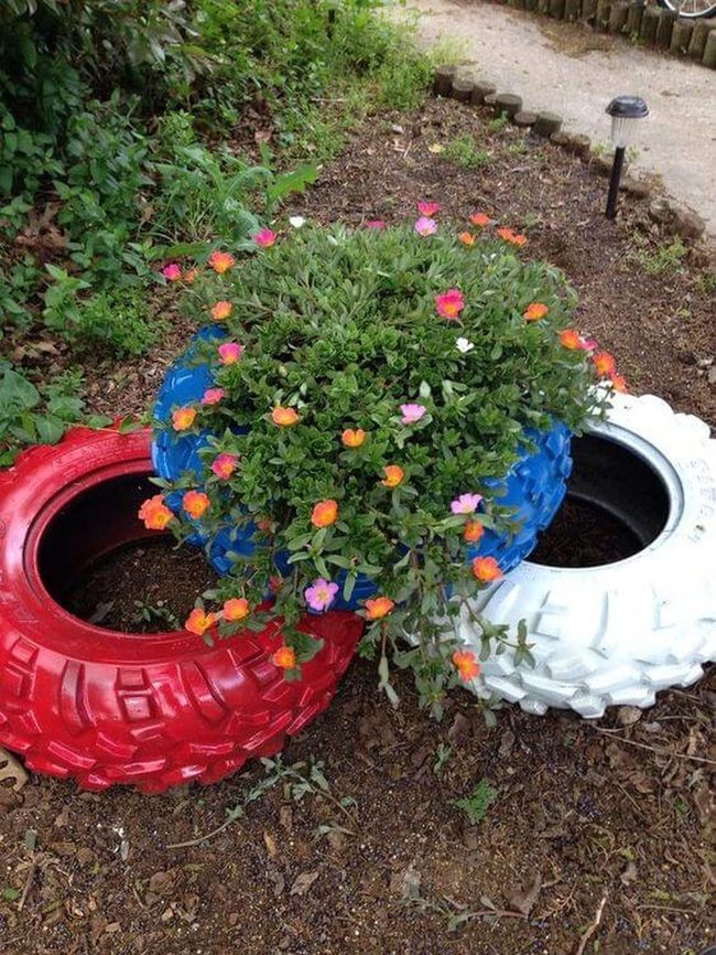 Painted Tires Blooming Bright