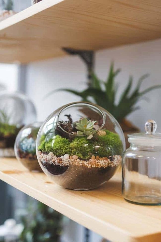 Glass Container Mini Patios