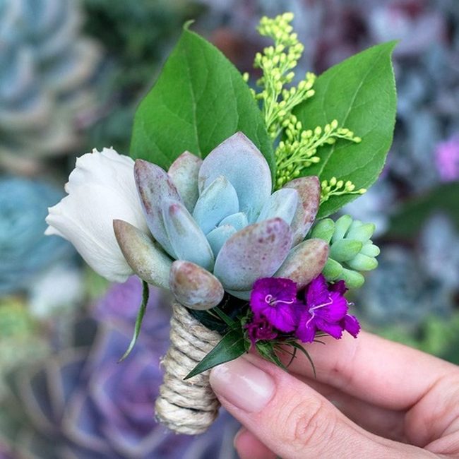 Succulents With Soft Roses Green