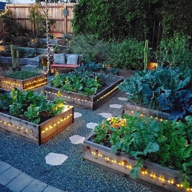 Twilight Herb Garden Under Lights