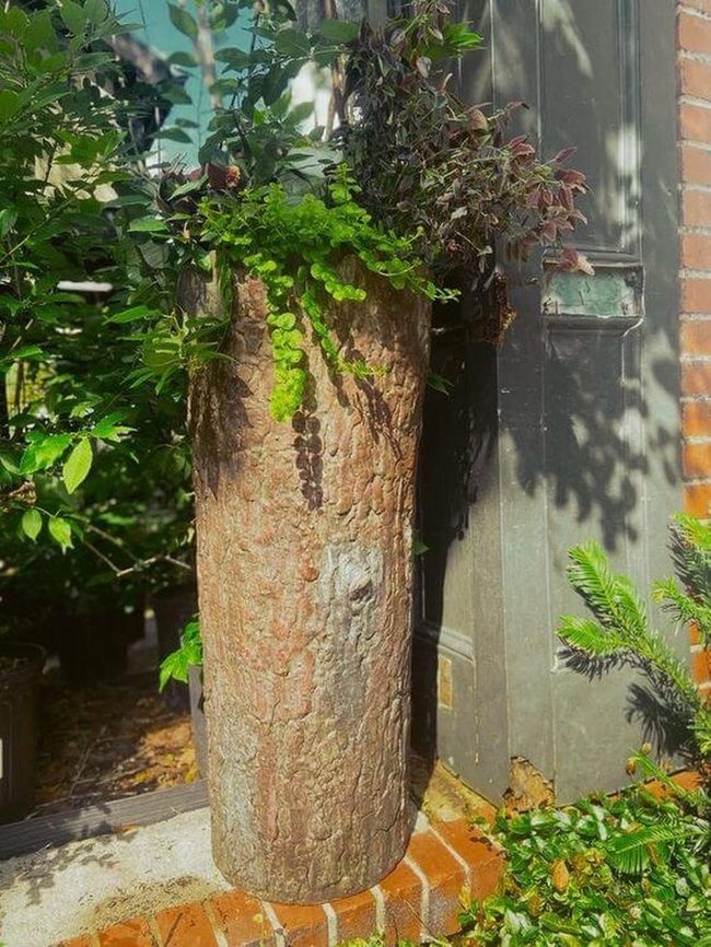 Tall Natural Planter Statement