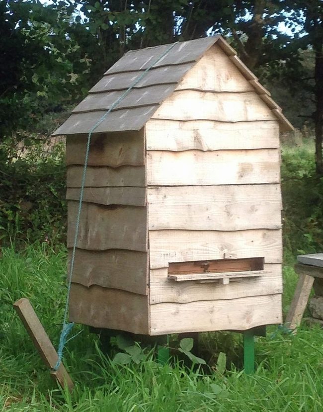 Blue Rope Weathered Cabin