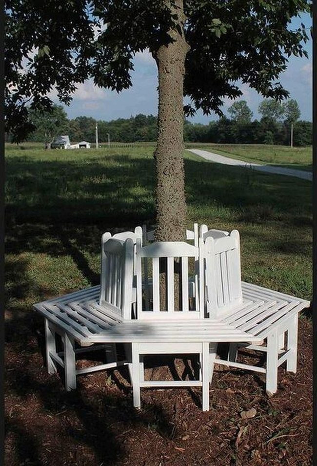 White Slat Tree Bench