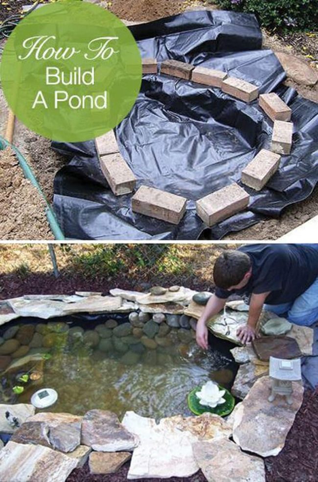 Backyard Pond With Natural Stone Edges