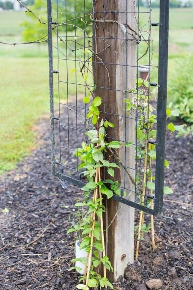 Weathered Wood Living Wall