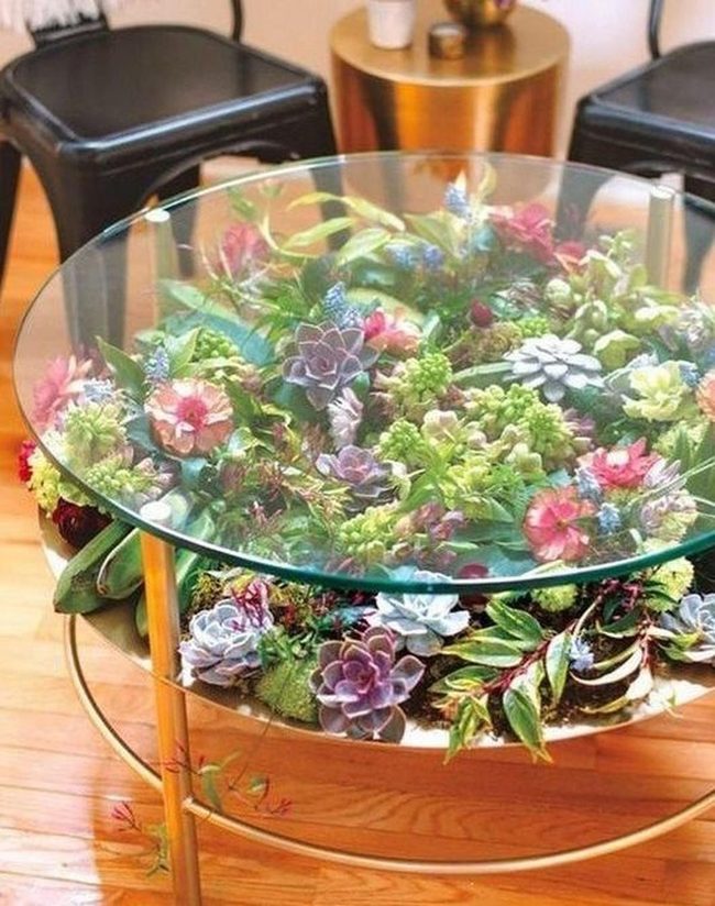 Glass Table With Living Succulents Below