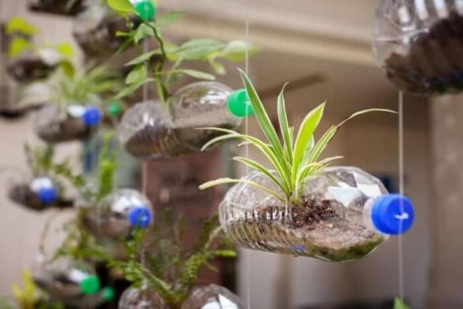 Recycled Bottles Living Green