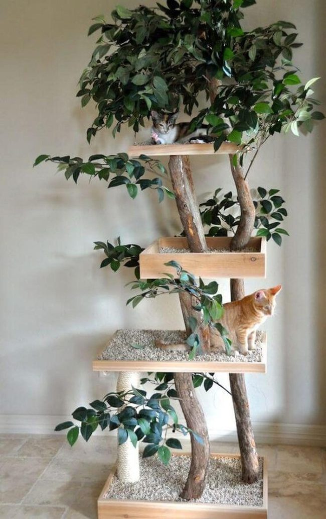 Natural Wood Cat Tree With Living Plant Features