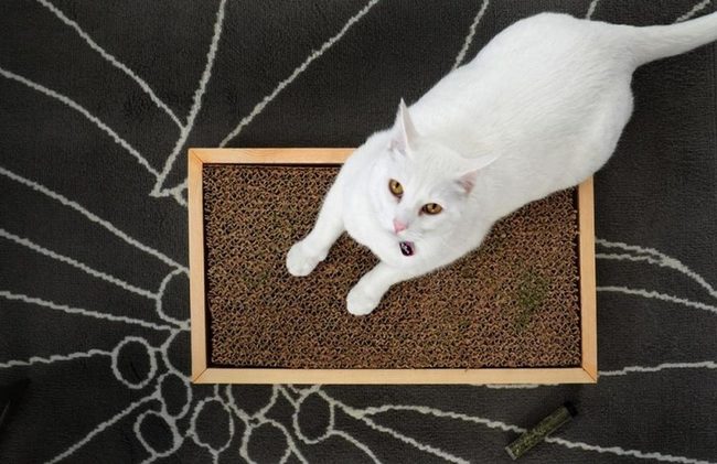 Corrugated Cardboard Cat Tower