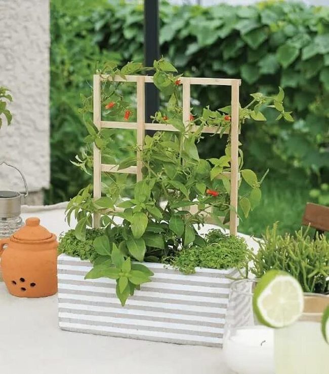 Vertical Green And Blooms Table