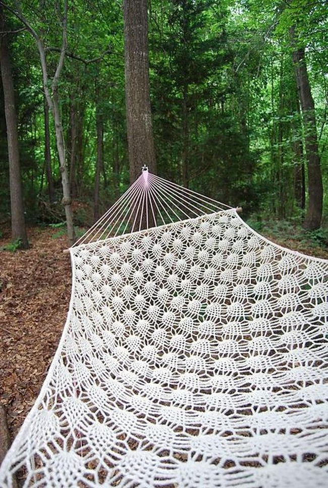 White Lace Hammock Forest