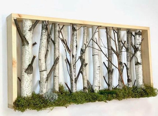 Birch Logs With Living Moss