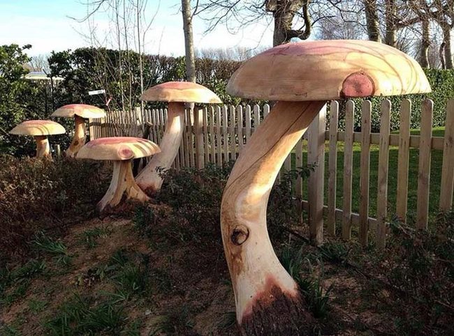 Whimsical Red Mushroom Stumps