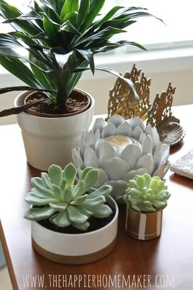 Soft Green Plants With Candlelit Pottery