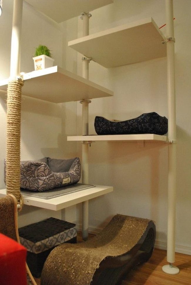Multilevel Cat Climbing Kingdom
