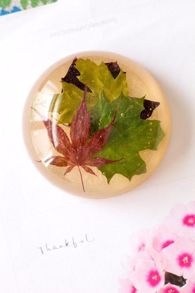 Autumn Leaves Sealed Glass