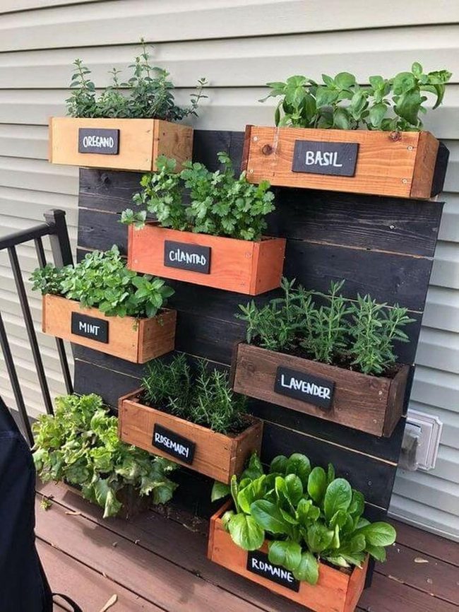 Vertical Herb Wall Garden