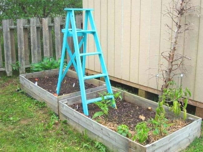 Painted Ladder Trellis Garden