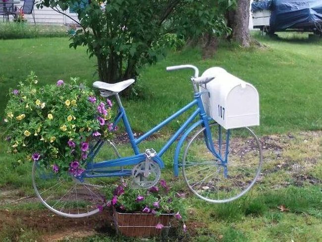 Vintage Bicycles Blue Mailbox Garden
