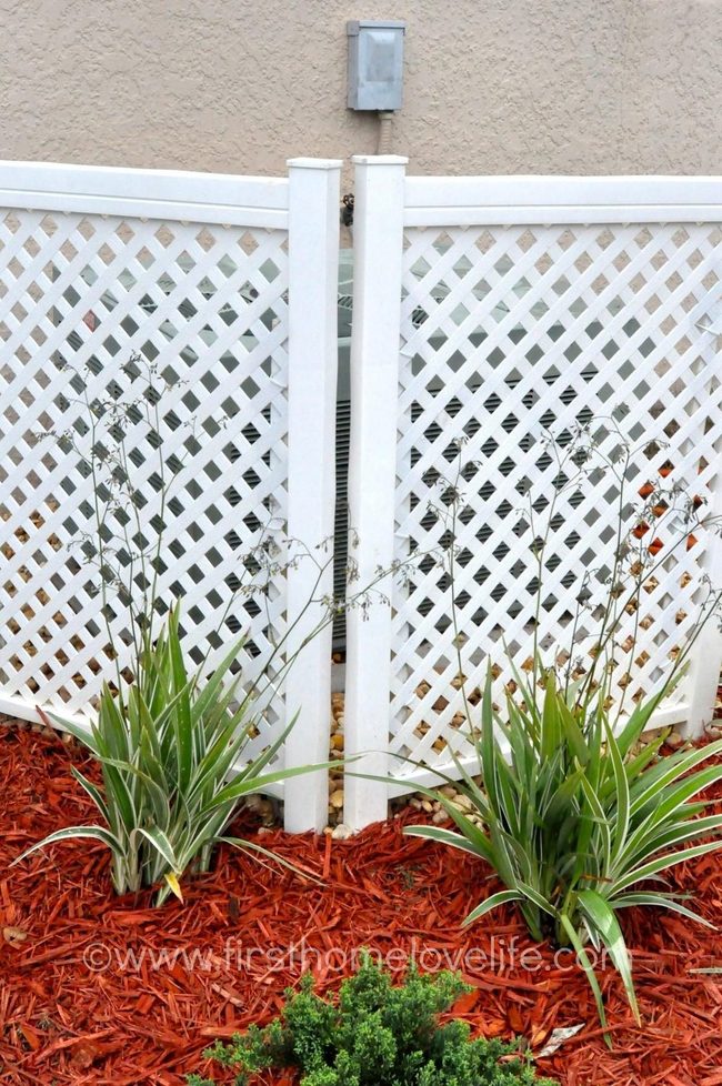 White Lattice Red Mulch Garden