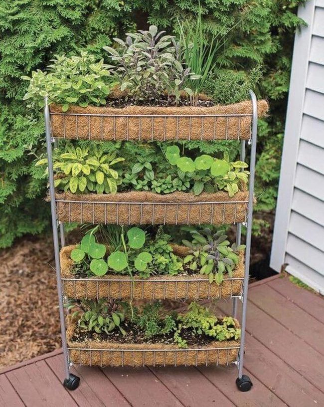Rolling Herb Tower With Cascading Greens