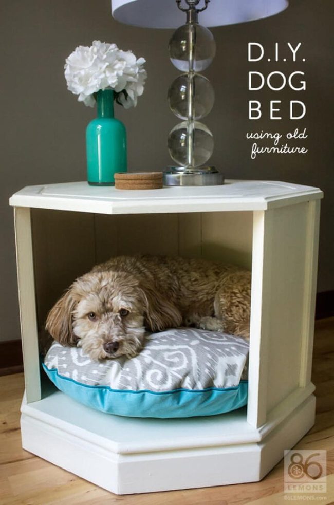 Compact Pet Bed Table Combo