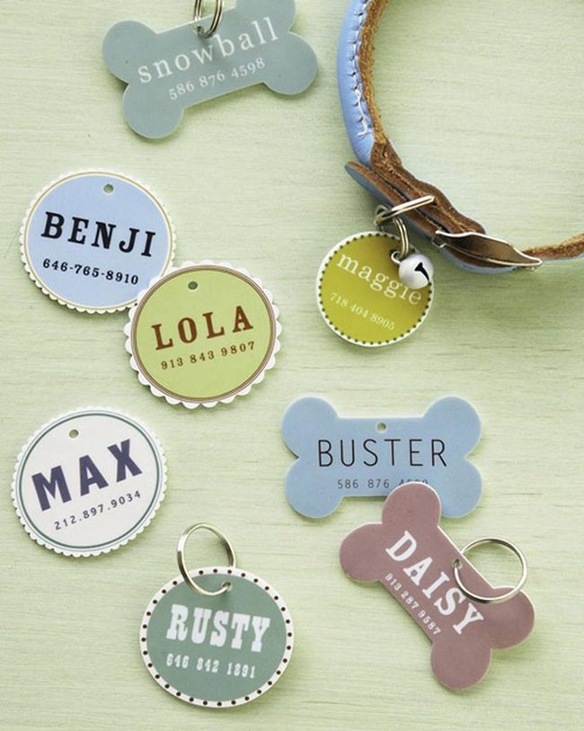 Light Green Pet Tags With Metal Rings