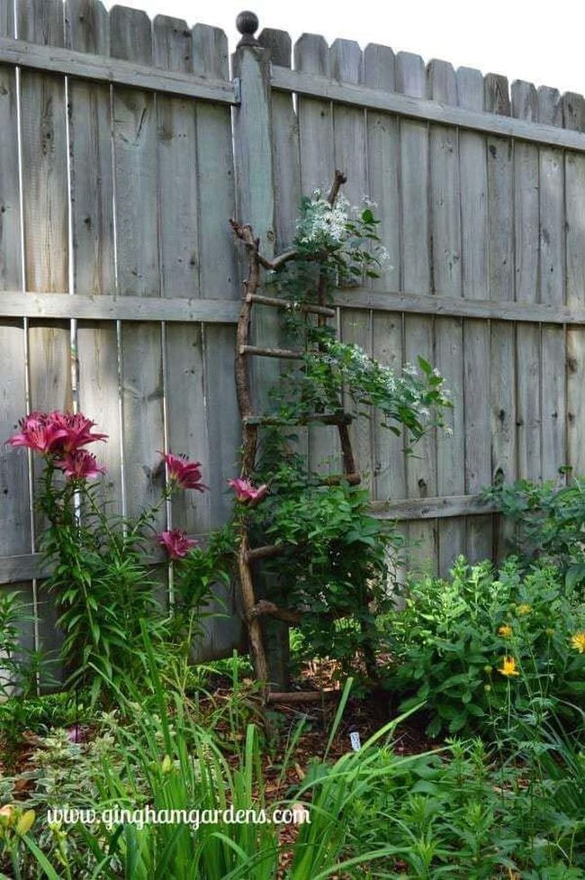 Branch Ladder Blooms Garden