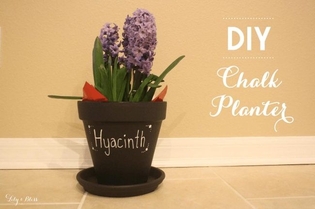 Purple Hyacinths Black Container
