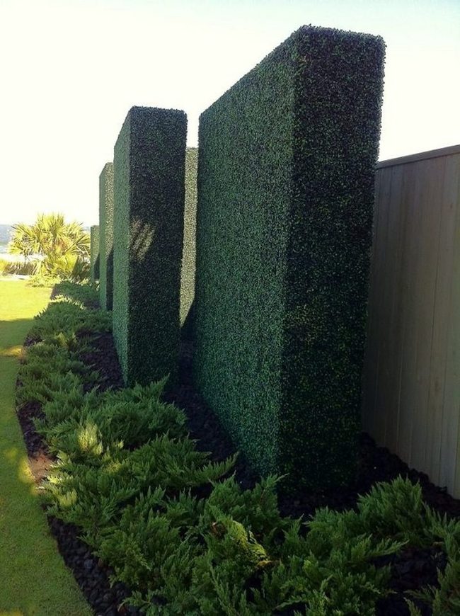 Instant Green Privacy Walls