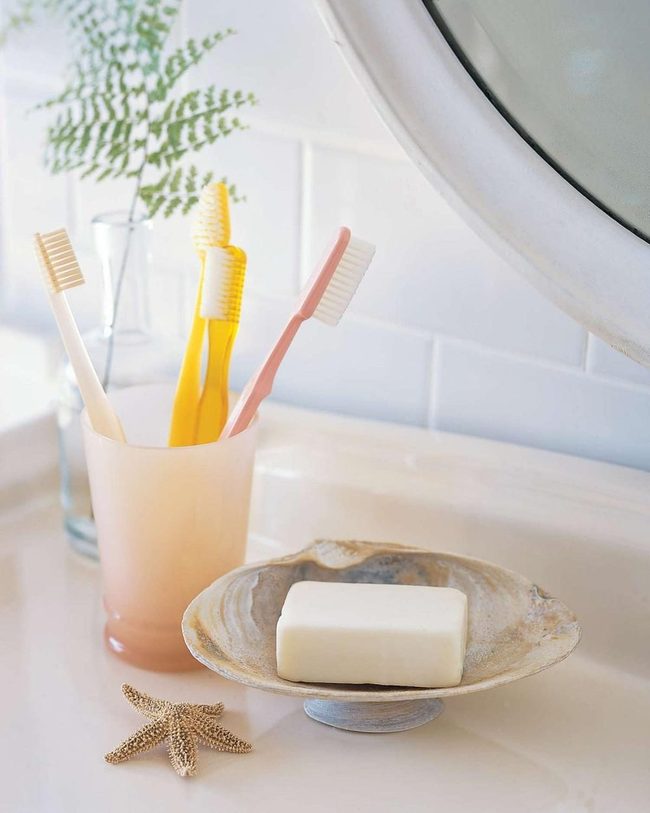 Seashell Soap Dish Natural Texture