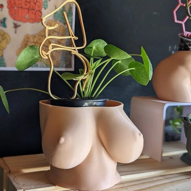 Curvy Ceramic Plant Sculptures