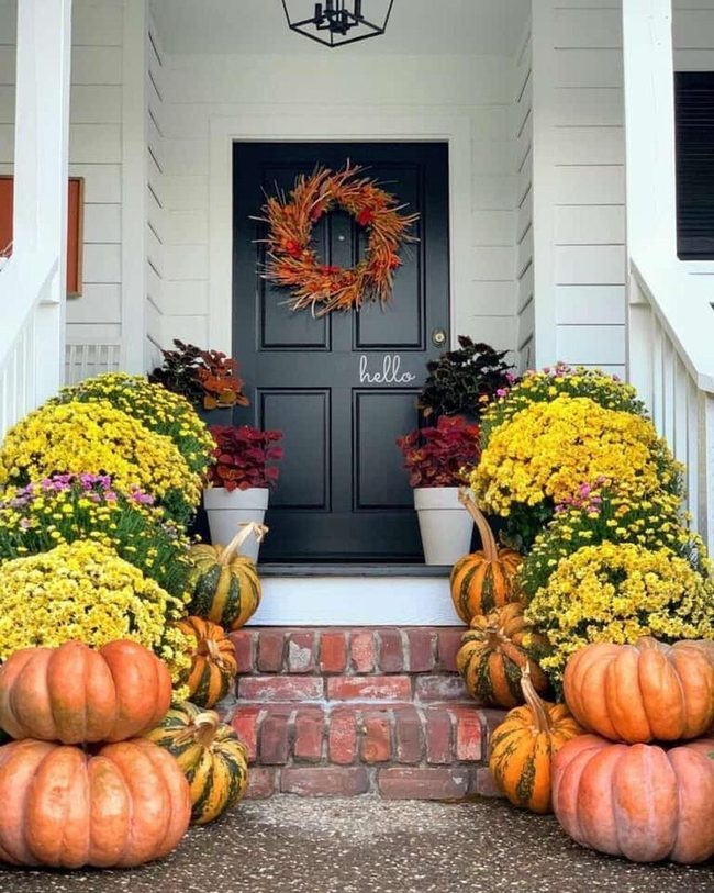 Orange Pumpkins and Purple Mums