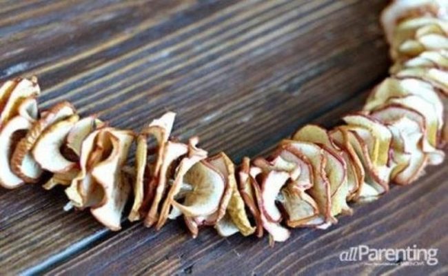 Dried Apple Slices Warm Brown