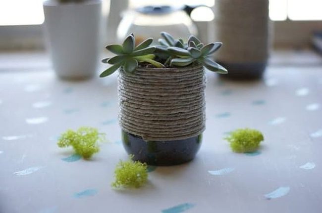 Natural Rope Wrapped Succulent Holders
